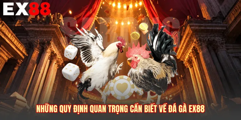Những quy định quan trọng cần biết về đá gà EX88